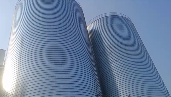 博爱2座混凝土高架卷板仓